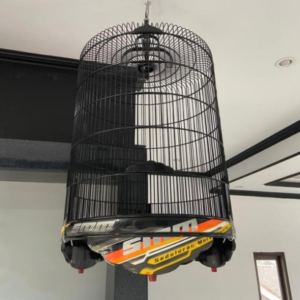 Sangkar Burung Murai SMM