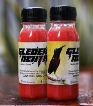 Gledex nextar pakan burung kolibri
