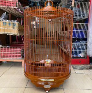 Sangkar Burung Murai BNR PCV Reborn Logo Baru